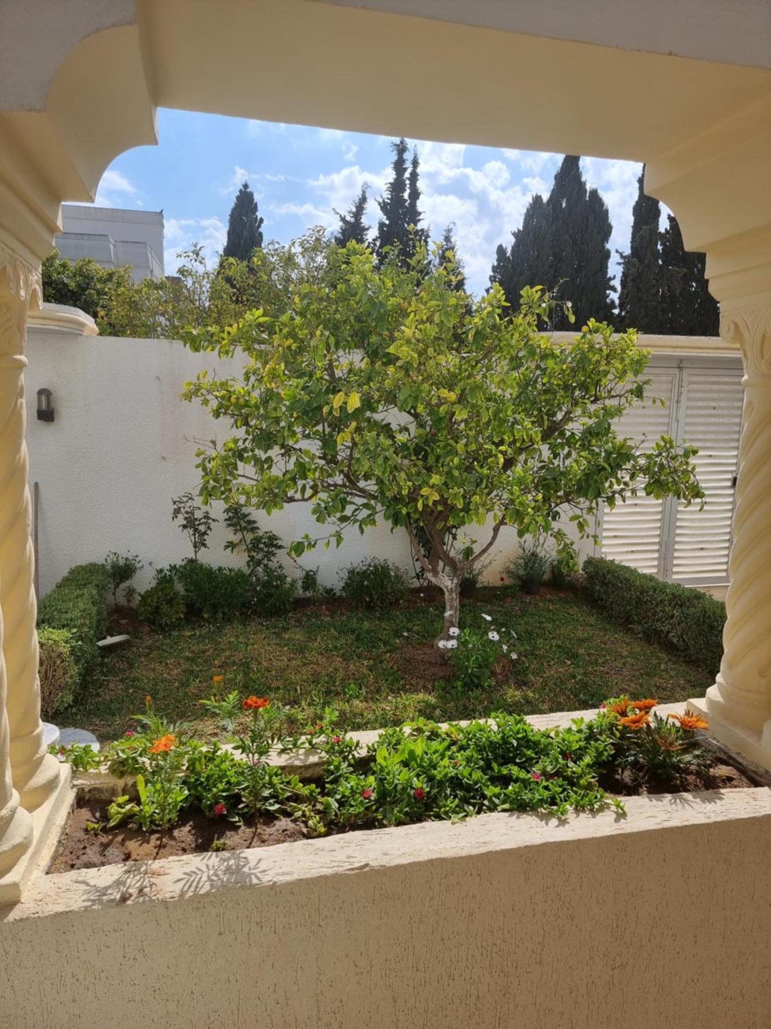 Appartements De Luxe Pres De La Mer Nabeul Exteriér fotografie
